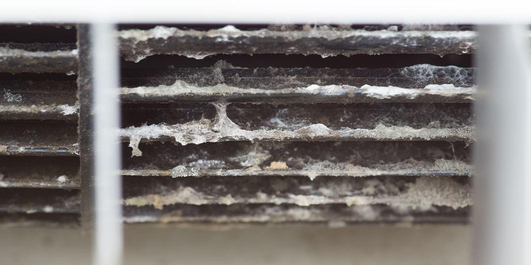 How to Tell If Your AC Unit Has Mold