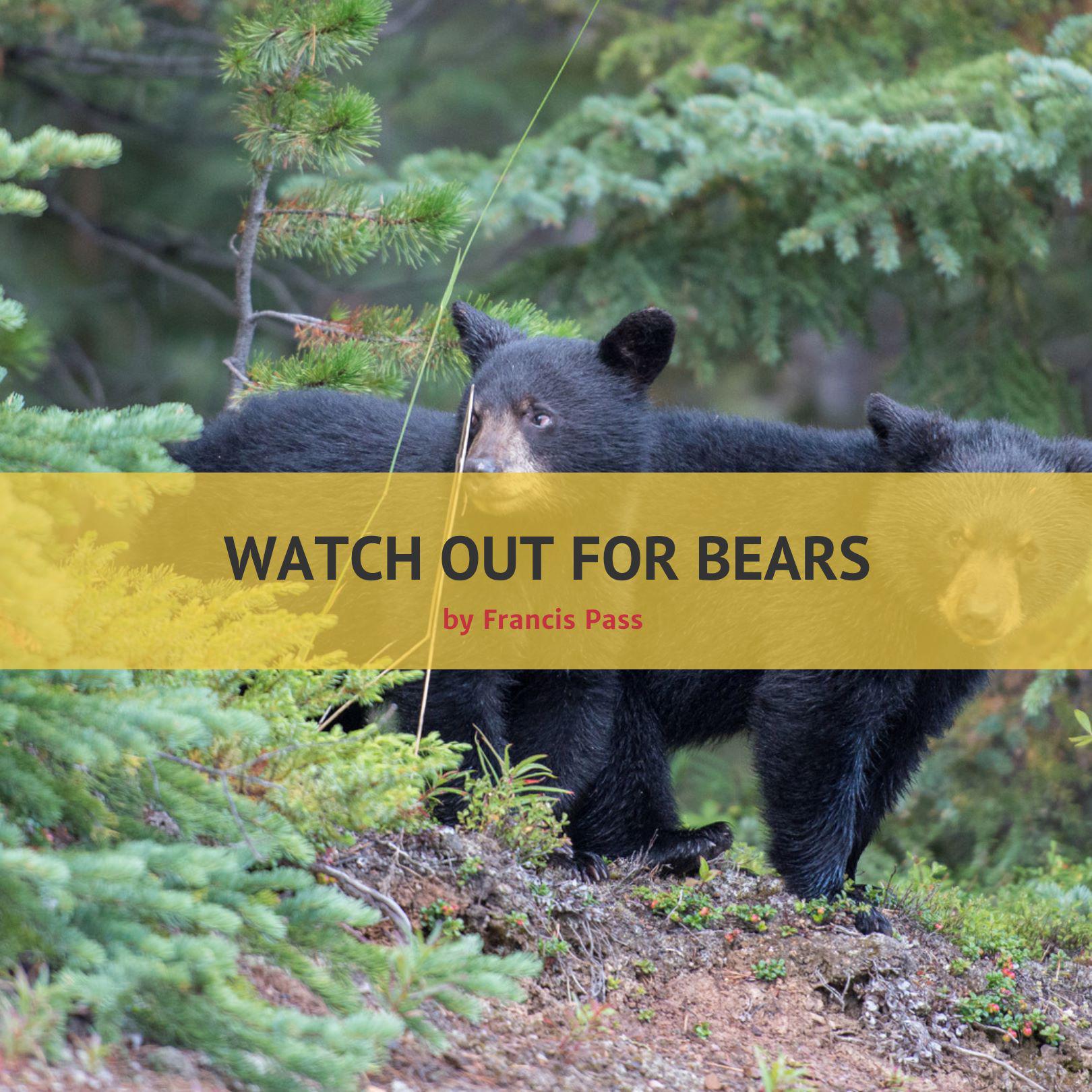 Watch Out for Bears