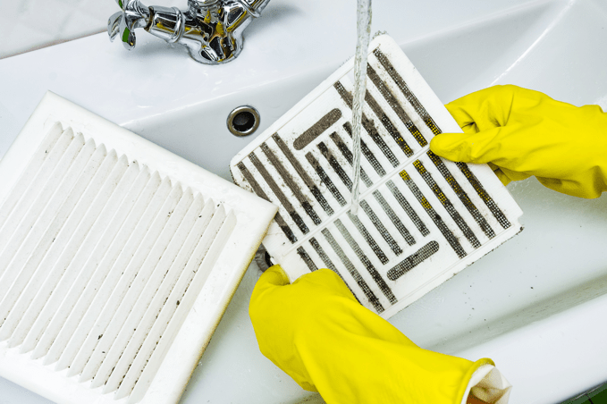 The Health Risks of Mold in Your Home